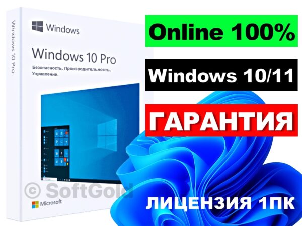 Windows 10 Professional